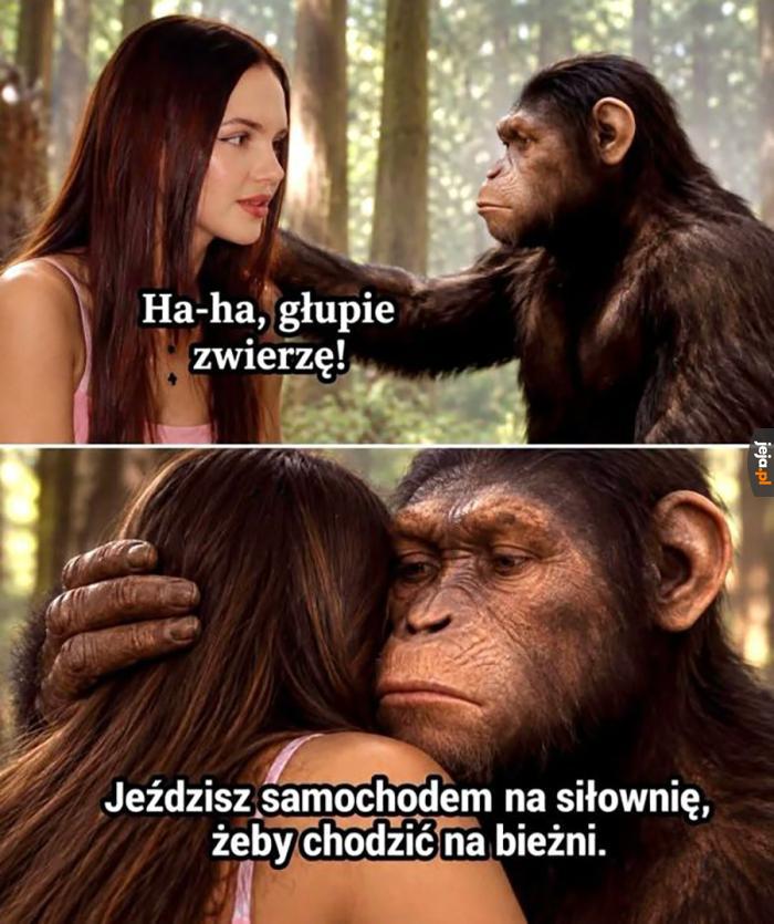 Szach mat