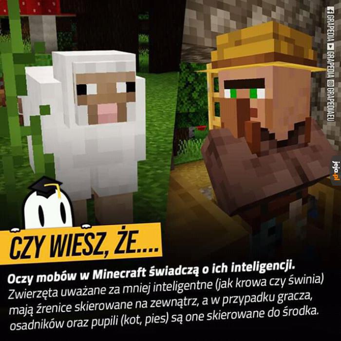 Wiedziałeś?