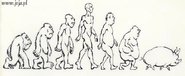 Ewolucja mężczyzny