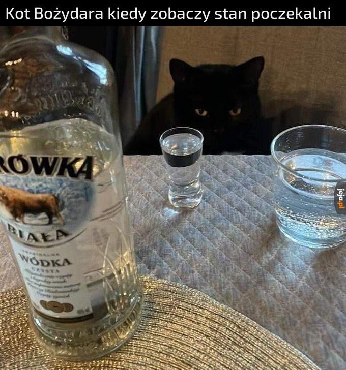 Na trzeźwo się nie da
