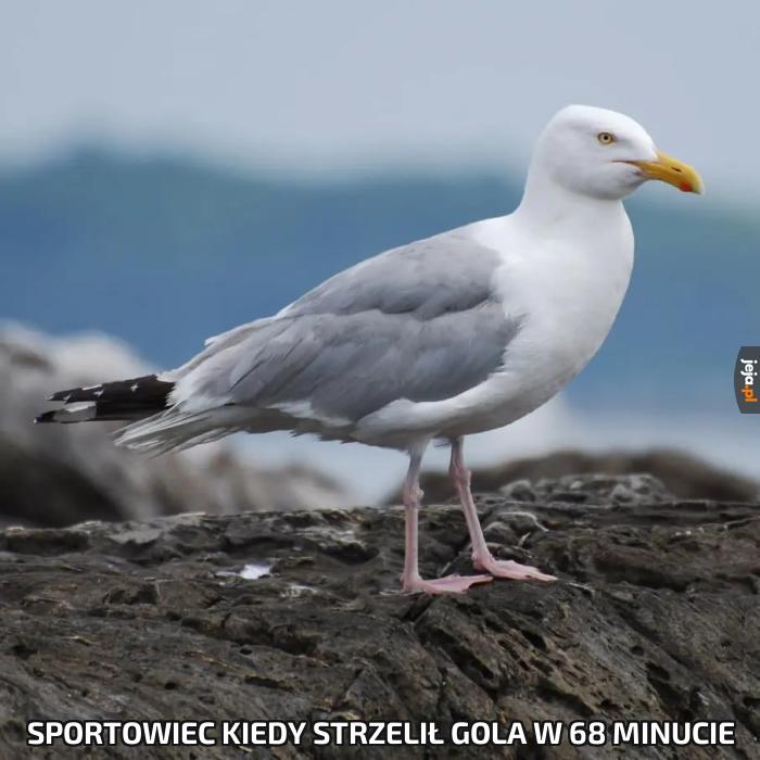 Sportowiec kiedy strzelił gola w 68 minucie