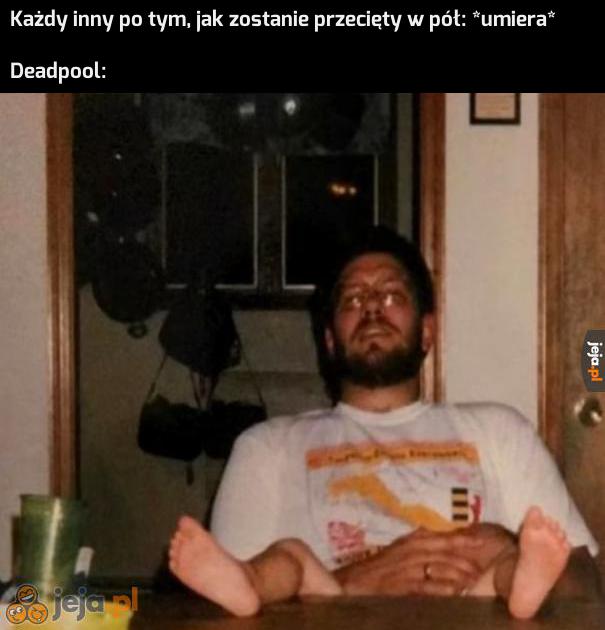 Albo kudłacz zwany Rosomakiem