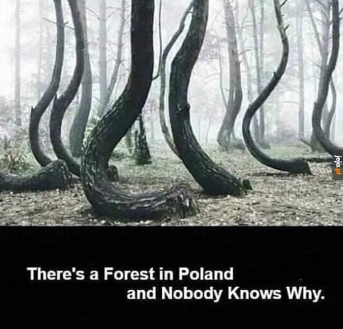 Jako lokals też nie wiem