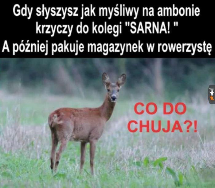 Jeśli to czytasz to znaczy że zmieniłeś się w dzika