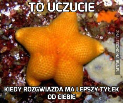 To uczucie