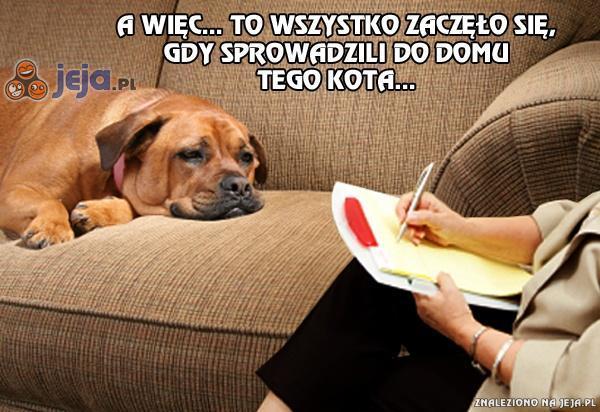 Życie z kotem nie jest łatwe