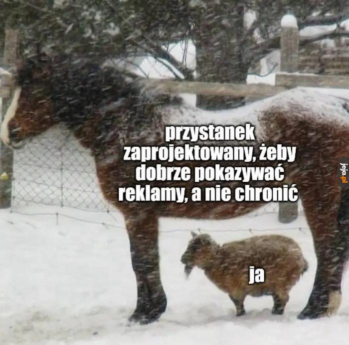Tak to jest