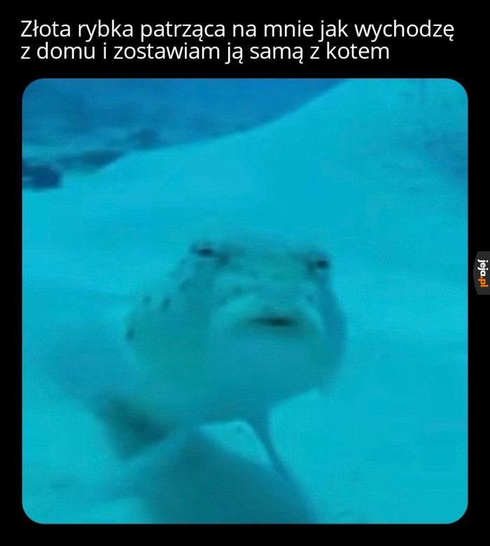 Neptun jej nie pomoże