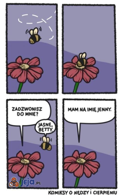 Kwiatki i pszczółki