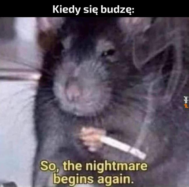 Kolejny dzień w Polsce