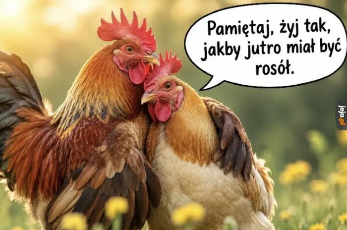 Czy u was też w niedzielę rosół?