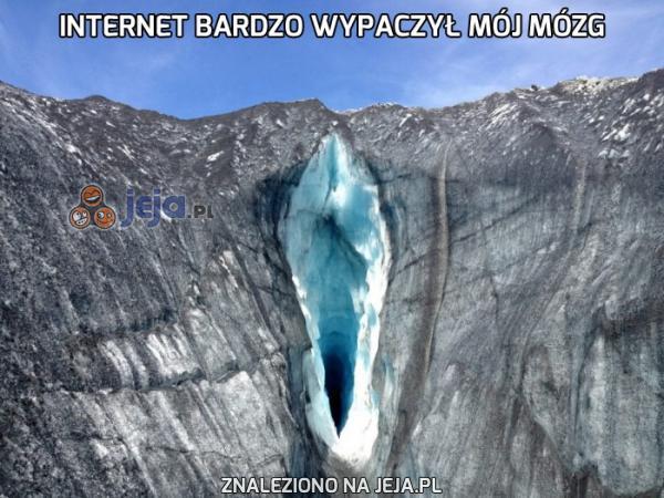 Internet bardzo wypaczył mój mózg