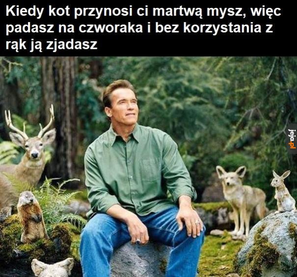 Dzięki, kitku