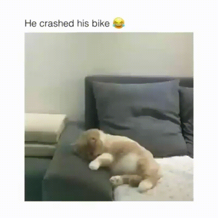 Rozbił się na rowerze przez sen