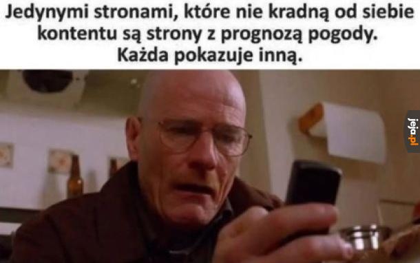 Coś w tym jest