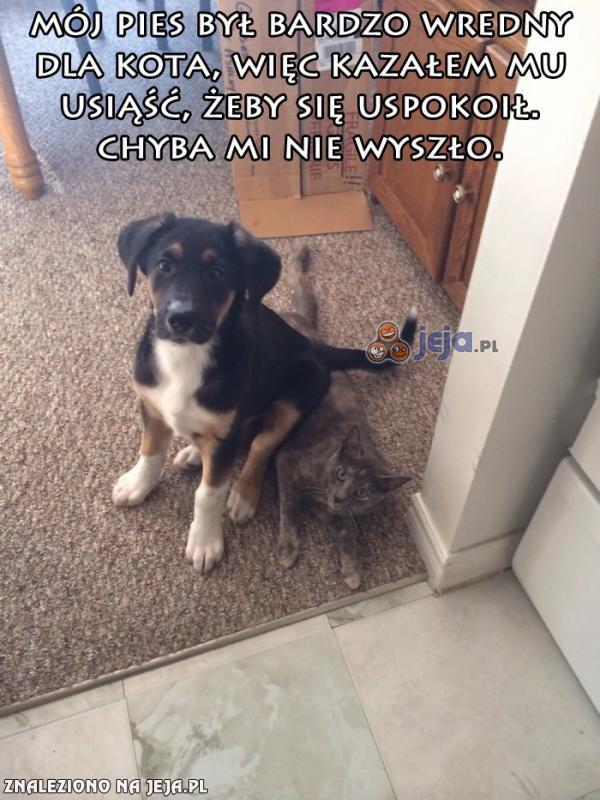 Chyba pora na tresurę