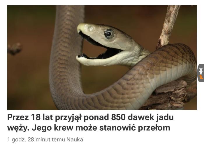 Gigachad z niego