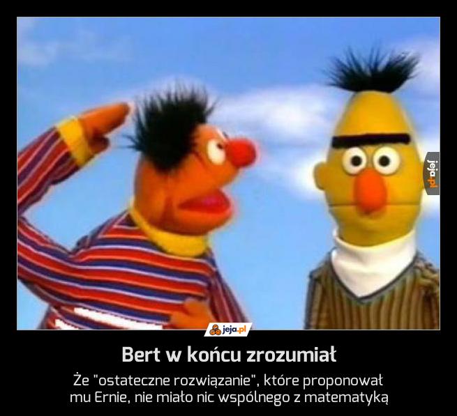 Bert w końcu zrozumiał
