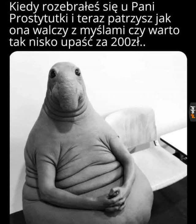 Za ile?!