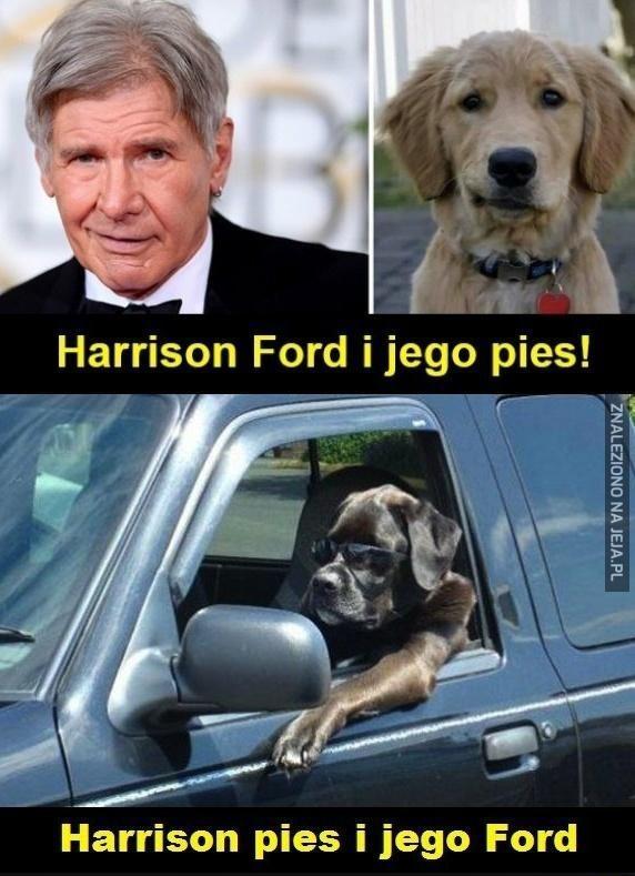 Ford pies i jego Harrison
