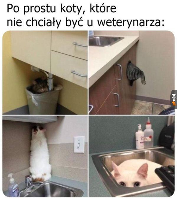 Kryć się!