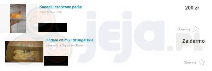 Ale okazja!