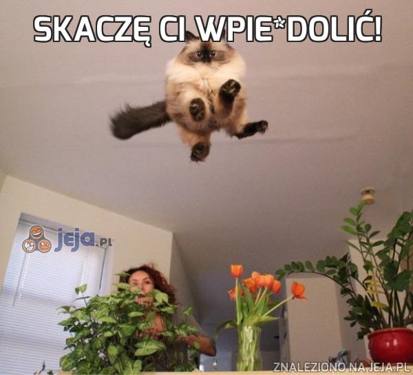 Skaczę Ci wpie*dolić!
