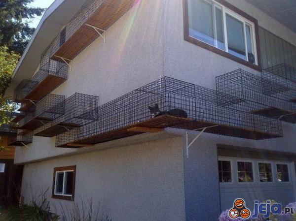 Dom przystosowany dla kota