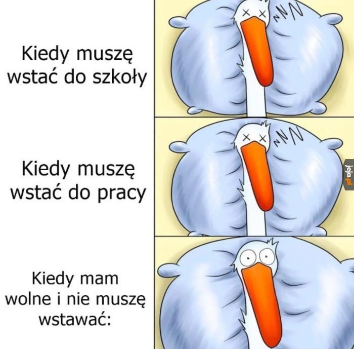Wakacje dobrze to obrazują