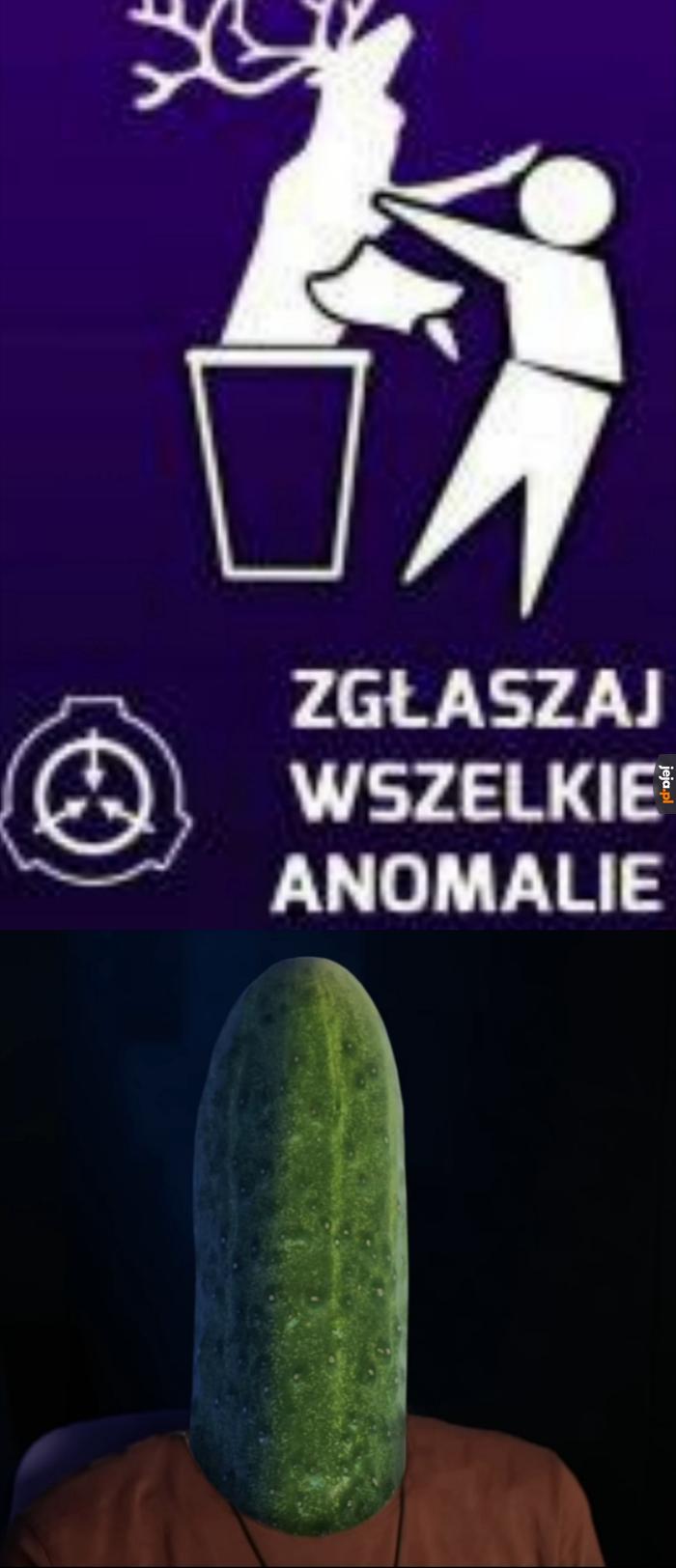 O G Ó R