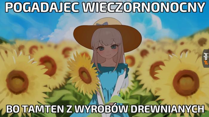 Pogadajec wieczornonocny