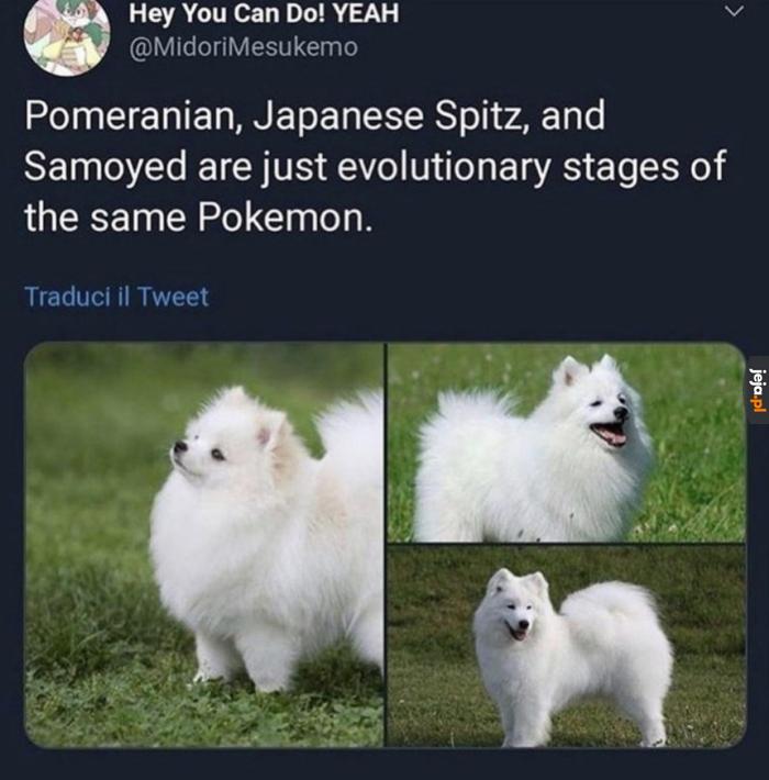 Ewolucja