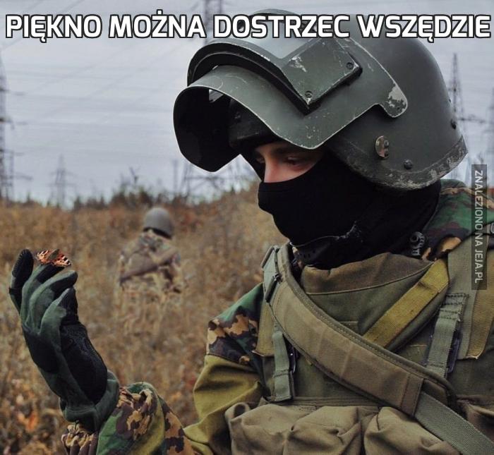 Piękno można dostrzec wszędzie