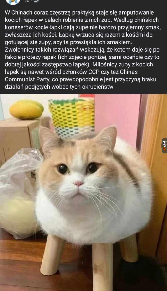 To straszne co się dzieje w Chinach