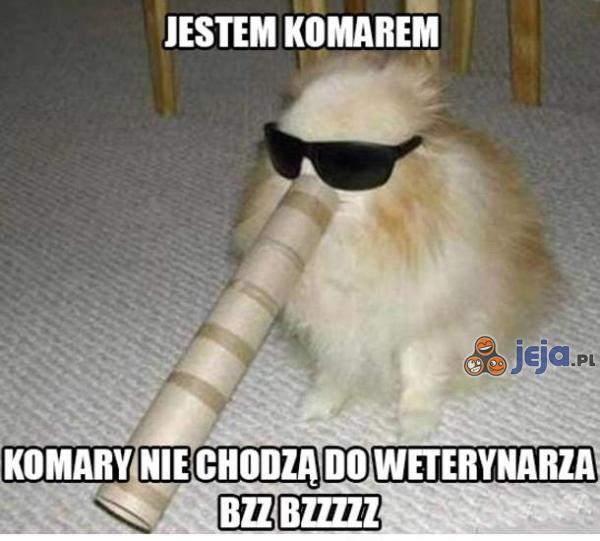Jestę komarę