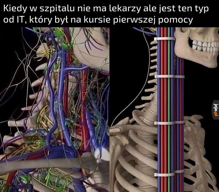 A kto to tak tymi kablami nabałaganił? Trzeba je uporządkować i w trytytki zawiązać
