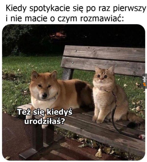 Słabo się klei rozmowa