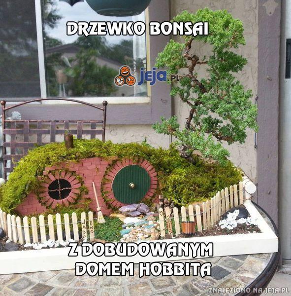 Drzewko Bonsai i dom Hobbita