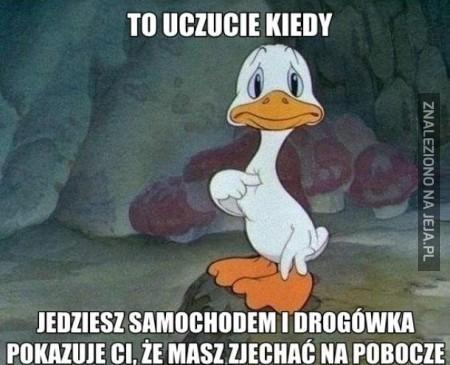 To uczucie