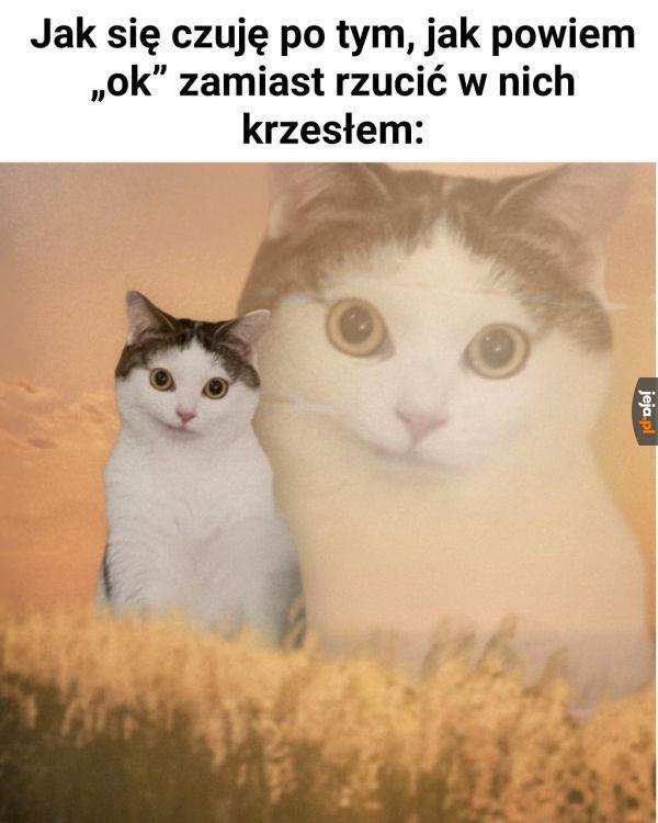 Lekko nie było się powstrzymać