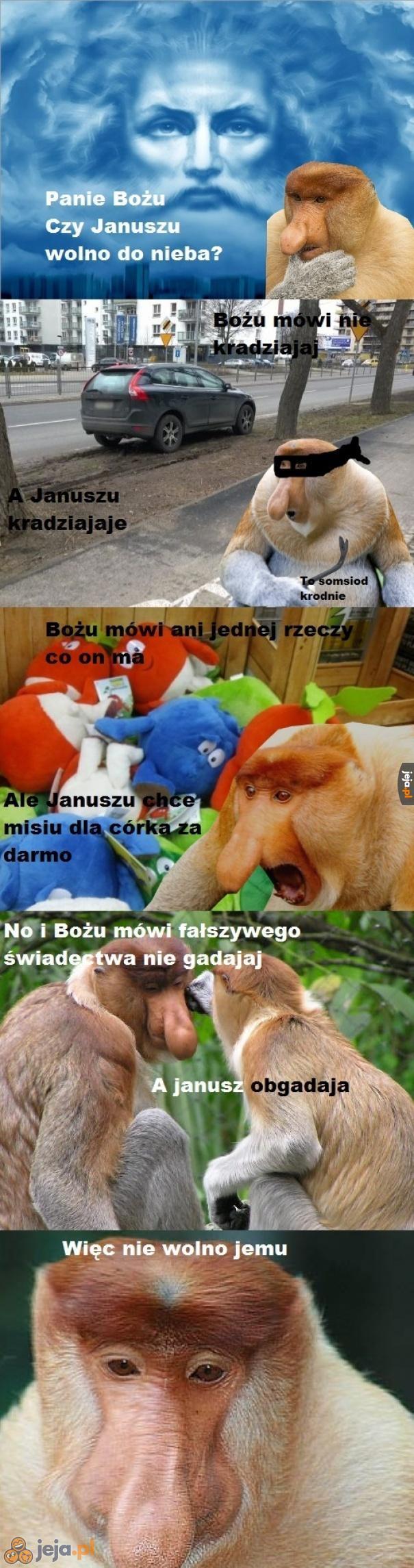 Janusz idzie prosto do piekła