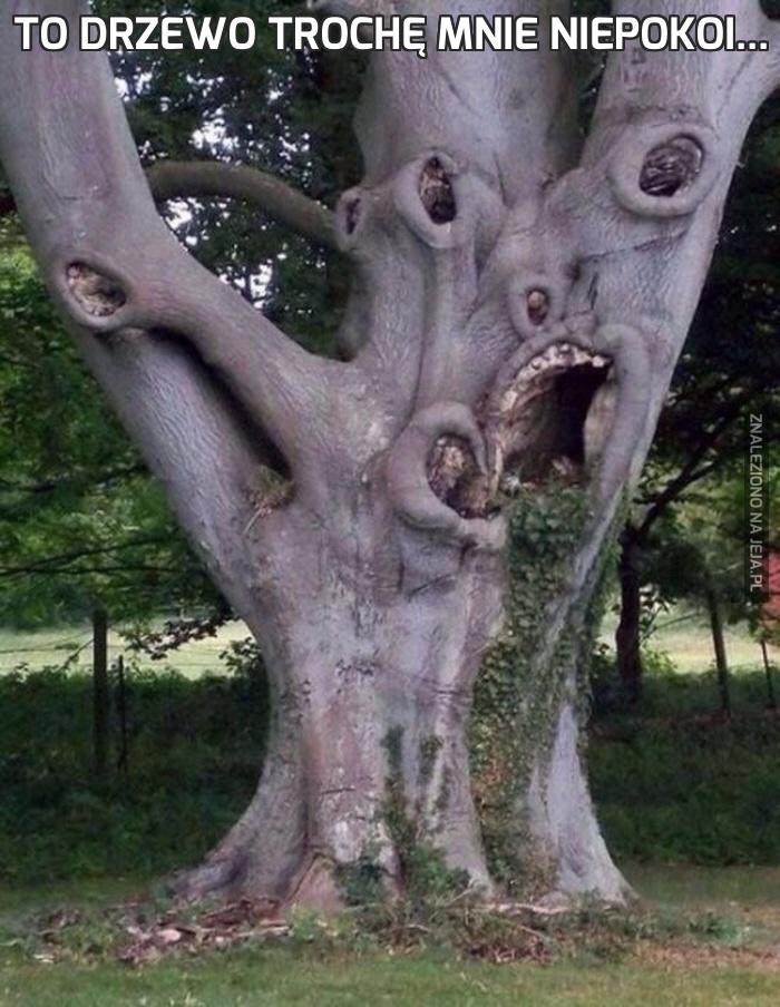 To drzewo trochę mnie niepokoi...