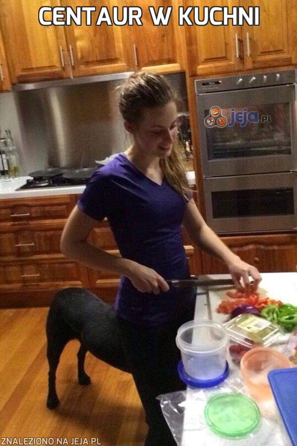 Centaur w kuchni