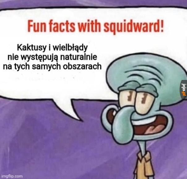 Kaktusy występują w Ameryce, a wielbłądy w Afryce i Azji