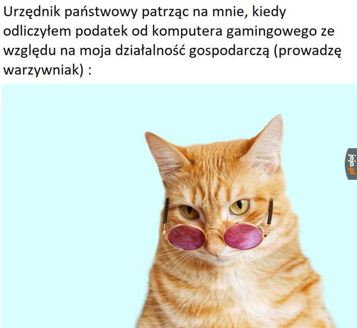 Jestem rekinem biznesu