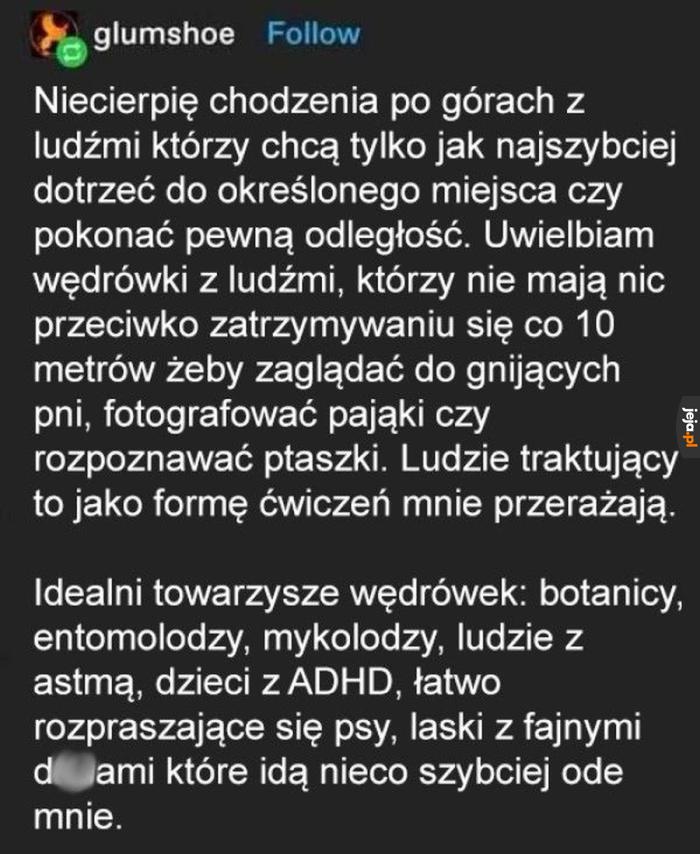 Z kim najlepiej w góry