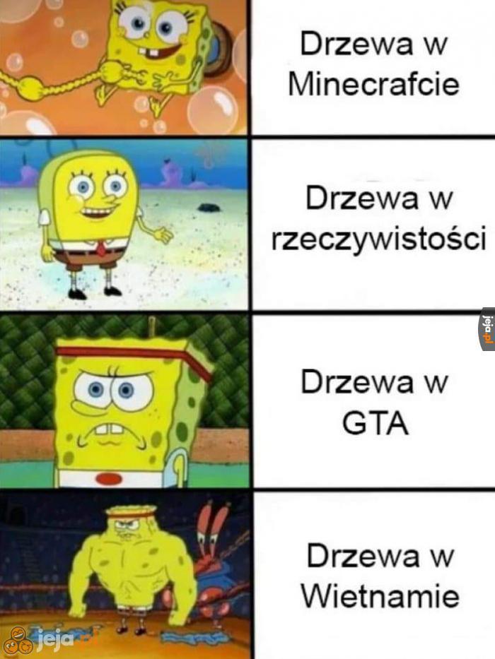 Z drzewami nie ma żartów