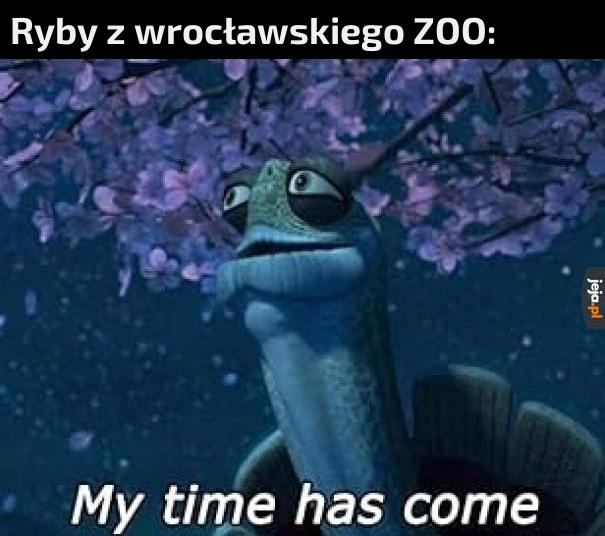Nareszcie wolny!
