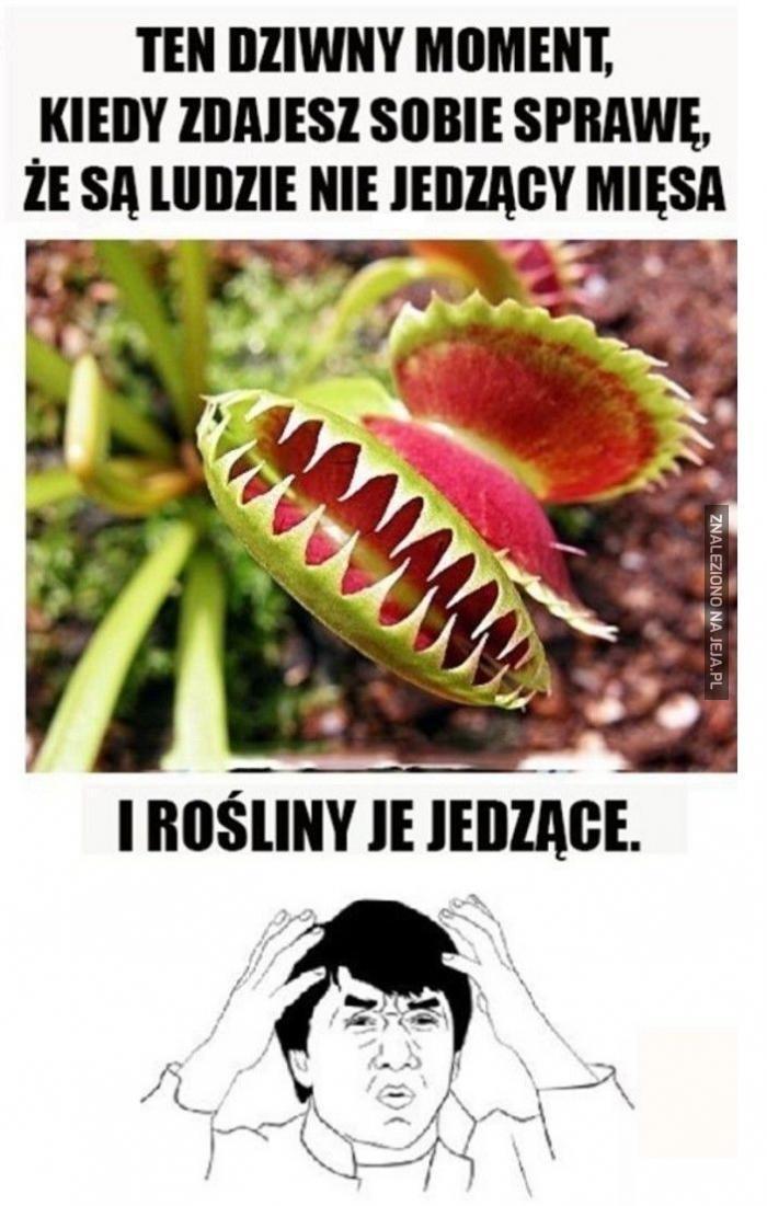 Rośliny jedzące mięso