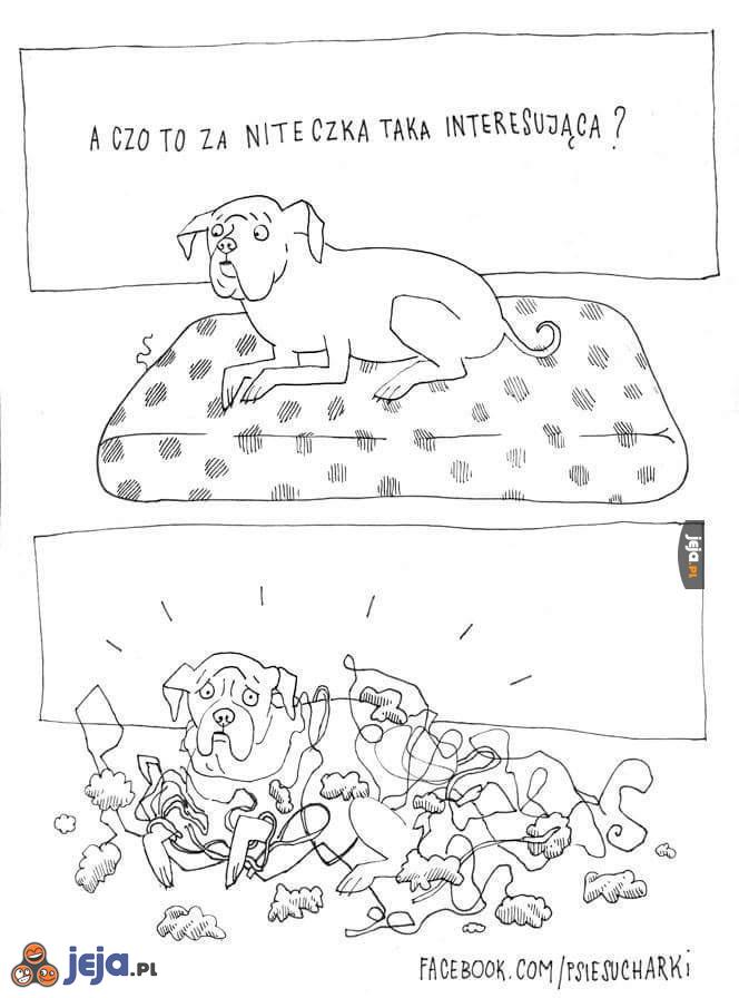 Eksplozja poduszki